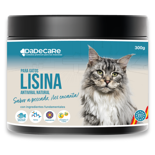 Lisina - 300g